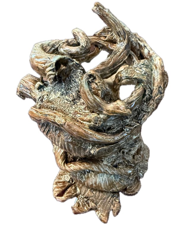 The Ancient Forest Series